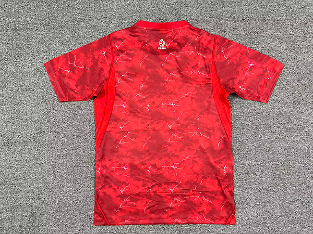 Camiseta Selección Polonia 2025/26 2ª Equipación