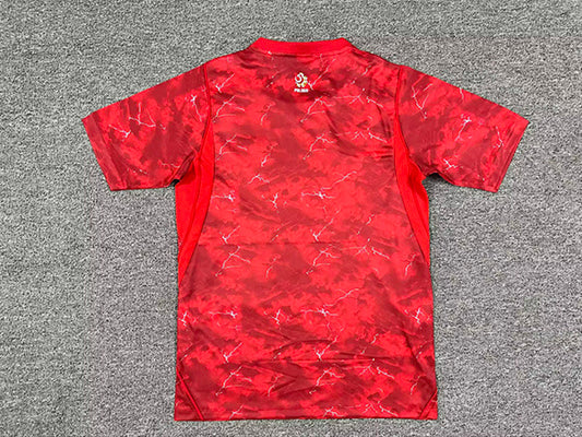 Camiseta Selección Polonia 2025/26 2ª Equipación