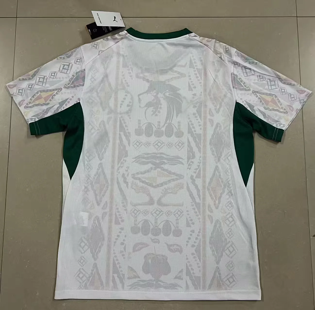 Camiseta Selección Senegal 2025/26 2ª equipación