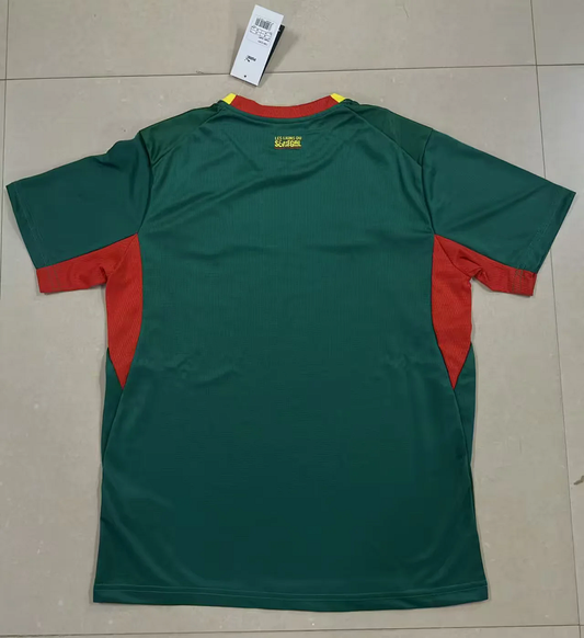 Camiseta Selección Senegal 2025/26 1ª equipación