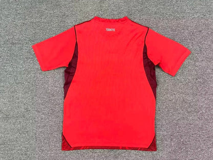 Camiseta Selección Turquía 2025/26 1ª equipación
